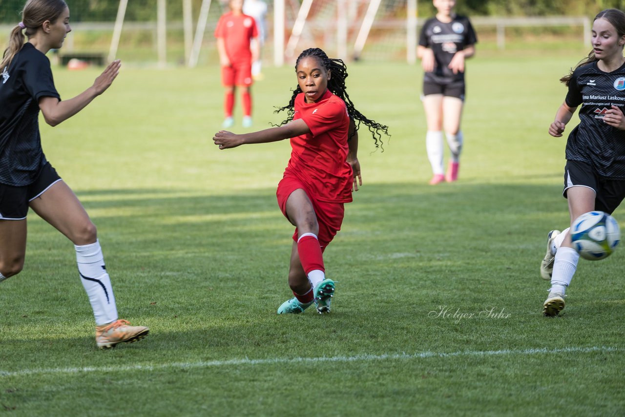 Bild 270 - wCJ VfL Pinneberg - Eimsbuetteler TV : Ergebnis: 0:5